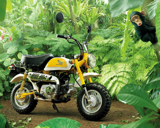 MONKEY50