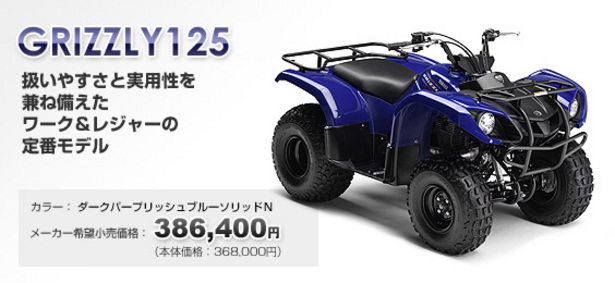 GRIZZLY125