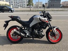 YAMAHA mt-25