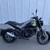 benelli leoncino250