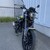 benelli leoncino250