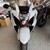 SUZUKI 隼