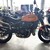 DUCATI Scrambler1100 TributePRO【認定中古】