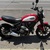DUCATI Scrambler Icon