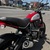 DUCATI Scrambler Icon