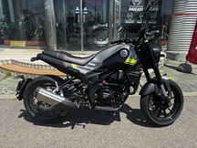 benelli Leoncino250