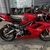 TRIUMPH Daytona675