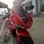 TRIUMPH Daytona675